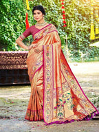 Woman wearing a traditional saree with intricate patterns outdoors.