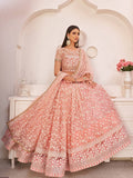 Net Bridal Lehenga Choli with Sequence Embroidery & Lace Border
